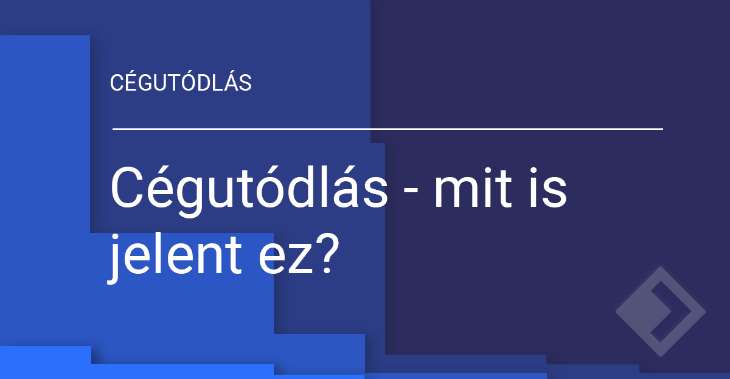 Cégutódlás - mit is jelent ez? A cégutódlás fogalma, formái, esetei, a cégutódlás és generációváltás.